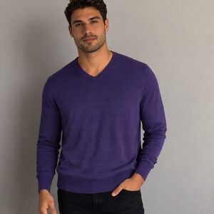 Van‎ Heusen- Men's Purple V-Neck Sweater Size M